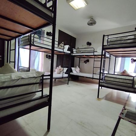 ניו דלהי A Sleepy Fox Hostel מראה חיצוני תמונה