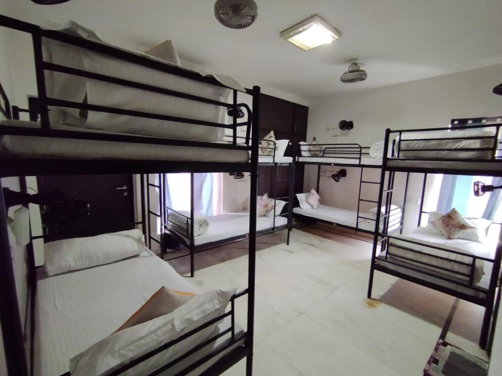 ניו דלהי A Sleepy Fox Hostel מראה חיצוני תמונה