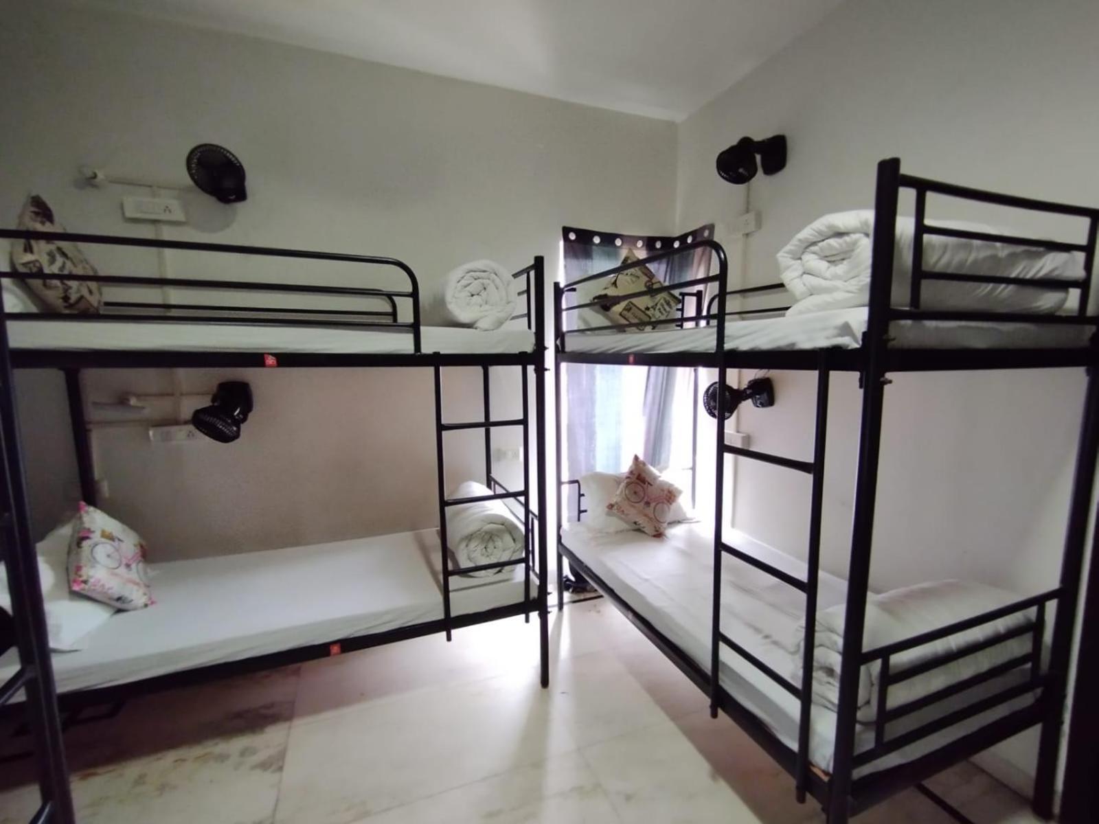 ניו דלהי A Sleepy Fox Hostel מראה חיצוני תמונה