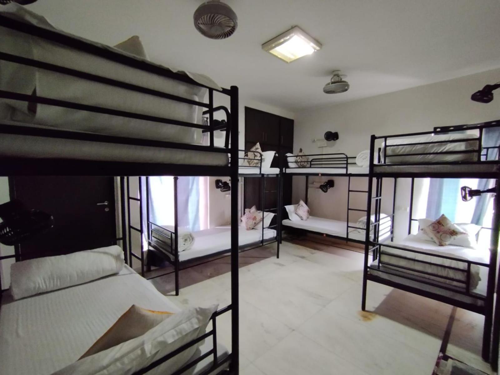 ניו דלהי A Sleepy Fox Hostel מראה חיצוני תמונה